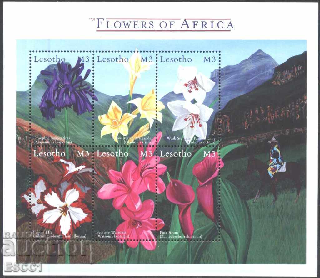 Ștampile pure într-o frunză mică Flora Flowers 2000 din Lesotho