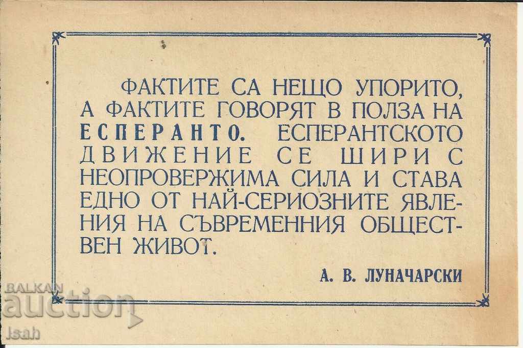 Lot propaganda of Esperanto - pieces of paper 115x170 mm