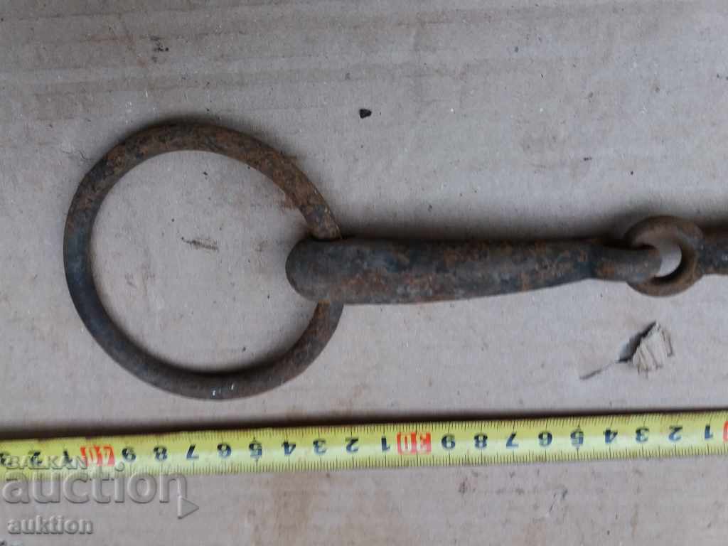 Auction  STAR COVAN GEM OF KONCA MUNICIA