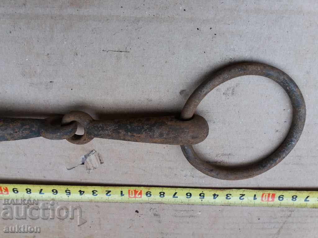 Delivery of STAR COVAN GEM OF KONCA MUNICIA