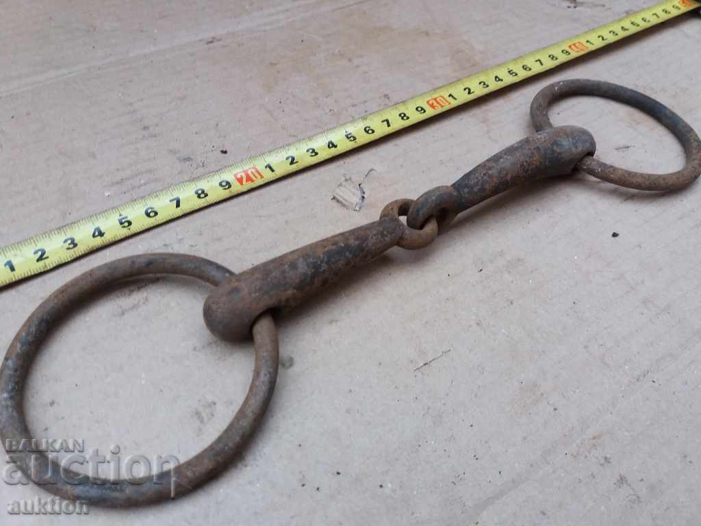 STAR COVAN GEM OF KONCA MUNICIA - 5