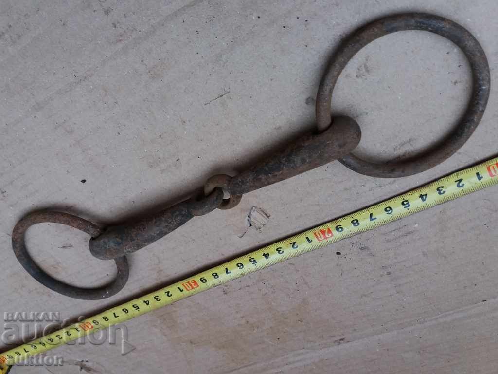 STAR COVAN GEM OF KONCA MUNICIA - 6