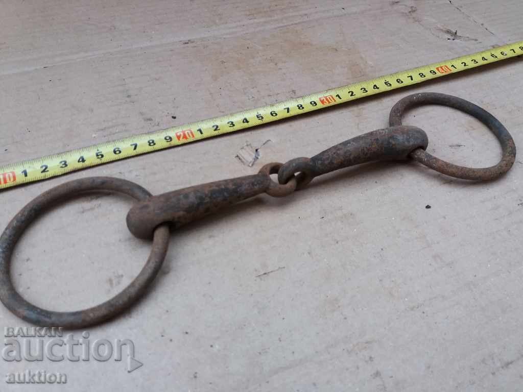 STAR COVAN GEM OF KONCA MUNICIA - 7