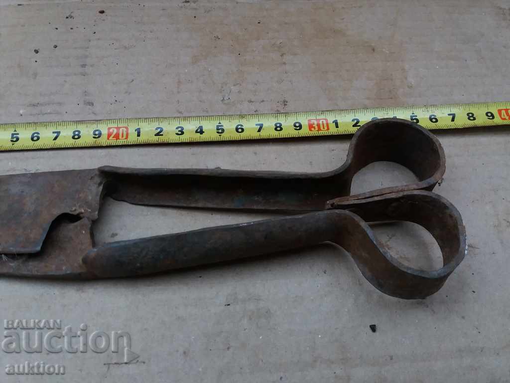 Auction OLD FORGED HORSE SHEARS FOR SHEEP SHEARING Auction OLD FORGED HORSE SHEARS FOR SHEEP SHEARING