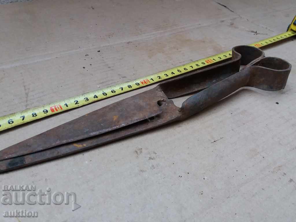 OLD FORGED HORSE SHEARS FOR SHEEP SHEARING - 6 OLD FORGED HORSE SHEARS FOR SHEEP SHEARING - 6