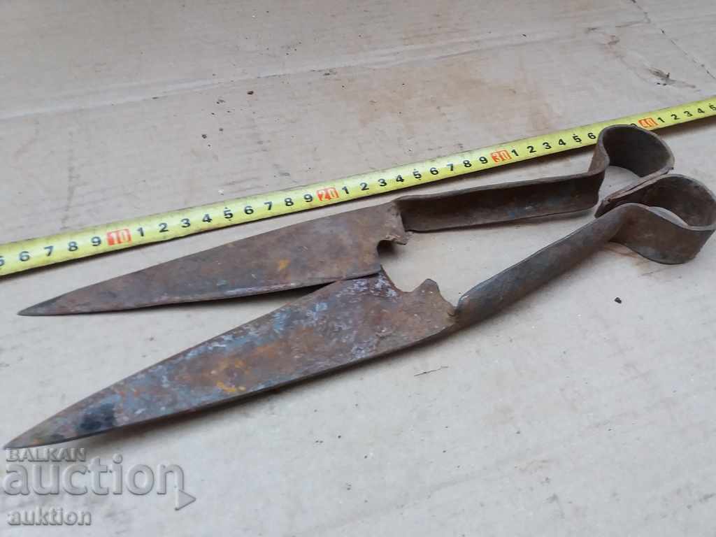 OLD FORGED HORSE SHEARS FOR SHEEP SHEARING - 7 OLD FORGED HORSE SHEARS FOR SHEEP SHEARING - 7