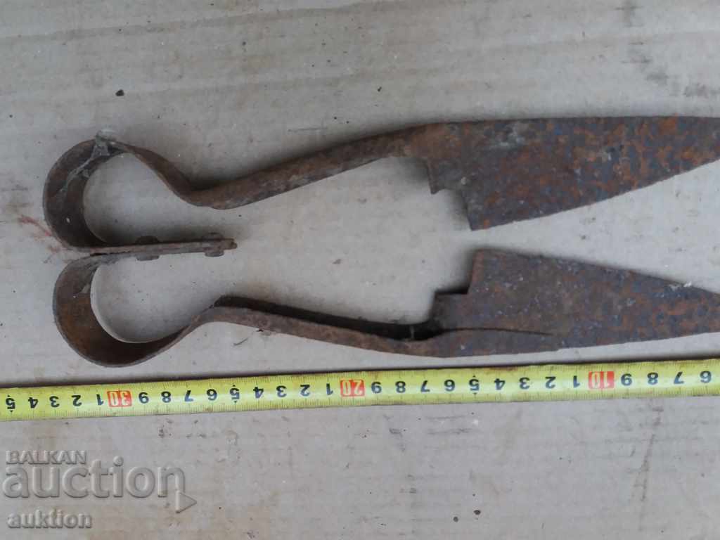 Auction  STAR HORSES HANDLE FOR SHEEPING THE SHEEP