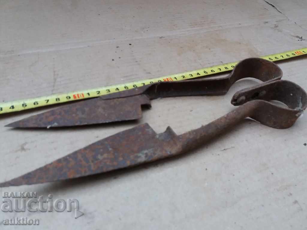 Delivery of STAR HORSES HANDLE FOR SHEEPING THE SHEEP