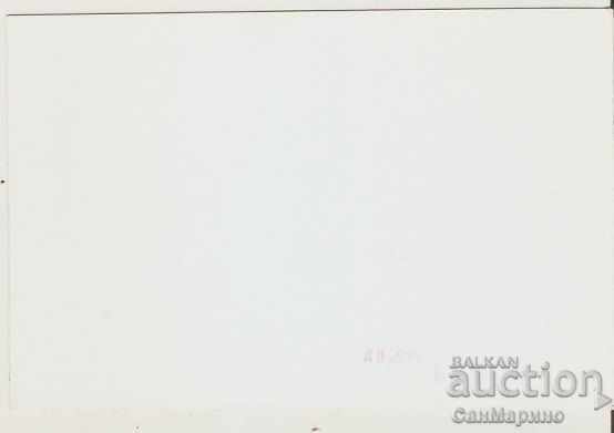 Card Bulgaria The steamer "Radetski" 2 * with price 2.20 BGN | € 1.12 Card Bulgaria The steamer "Radetski" 2 * with price 2.20 BGN | € 1.12