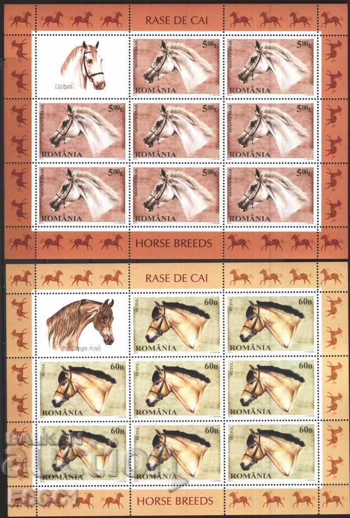 Pure stamps in small sheets Fauna Horses 2010 from Romania with price 68.00 BGN | € 34.77 Pure stamps in small sheets Fauna Horses 2010 from Romania with price 68.00 BGN | € 34.77
