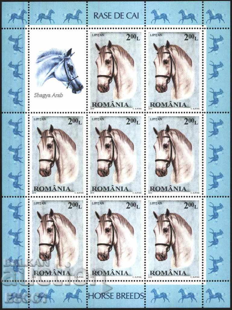 Delivery of Pure stamps in small sheets Fauna Horses 2010 from Romania Delivery of Pure stamps in small sheets Fauna Horses 2010 from Romania