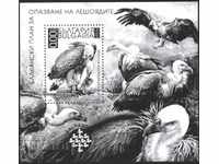 Souvenir block Balkanfila Vultures 2010 from Bulgaria