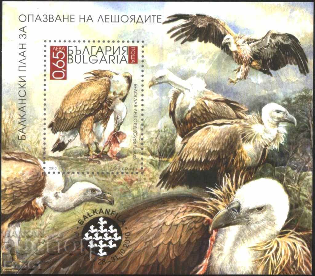 Pure block Balkanfila Vultures 2010 din Bulgaria