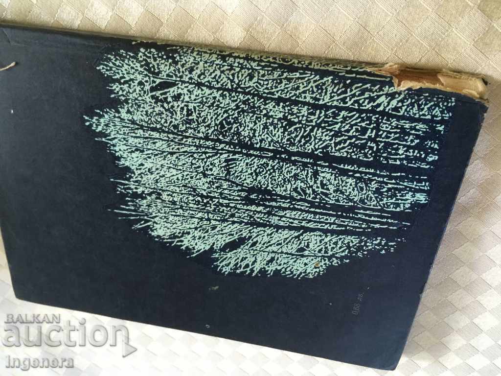 Auction BOOK-DOCUMENTARY STORY-1972 Auction BOOK-DOCUMENTARY STORY-1972