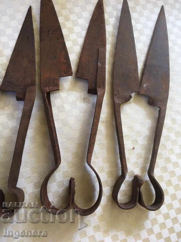 Delivery of SCISSORS OLD FORGED SHEEP CUTTING TOOL-6 PCS Delivery of SCISSORS OLD FORGED SHEEP CUTTING TOOL-6 PCS