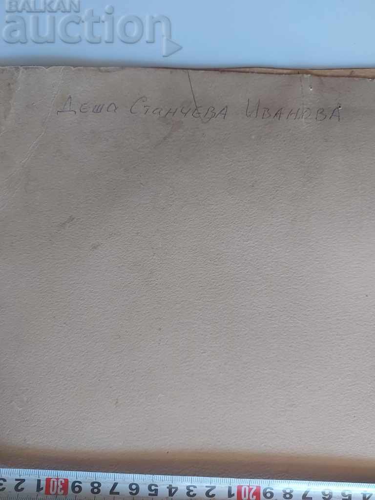 OLD LARGE Retouched PHOTO PORTRAIT PHOTO CARDBOARD WOMEN - 5