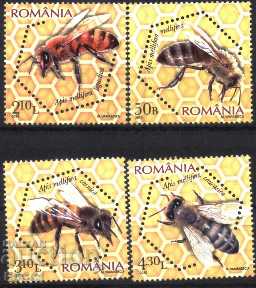 Pure brands Fauna Bees 2010 from Romania