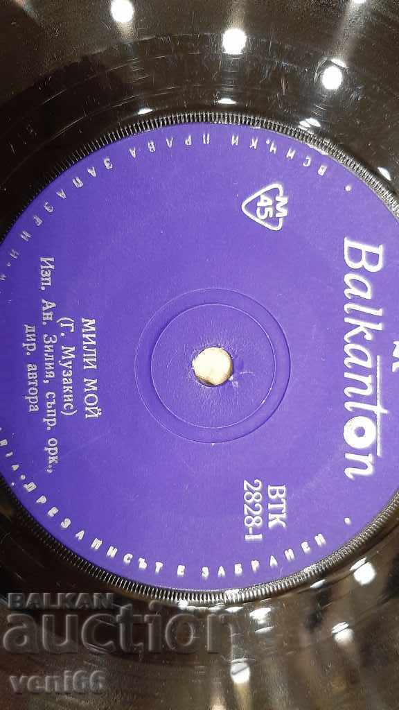 Auction  VTK 2828 Angela Zilia