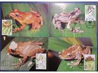 Fiji - tree frogs, WWF
