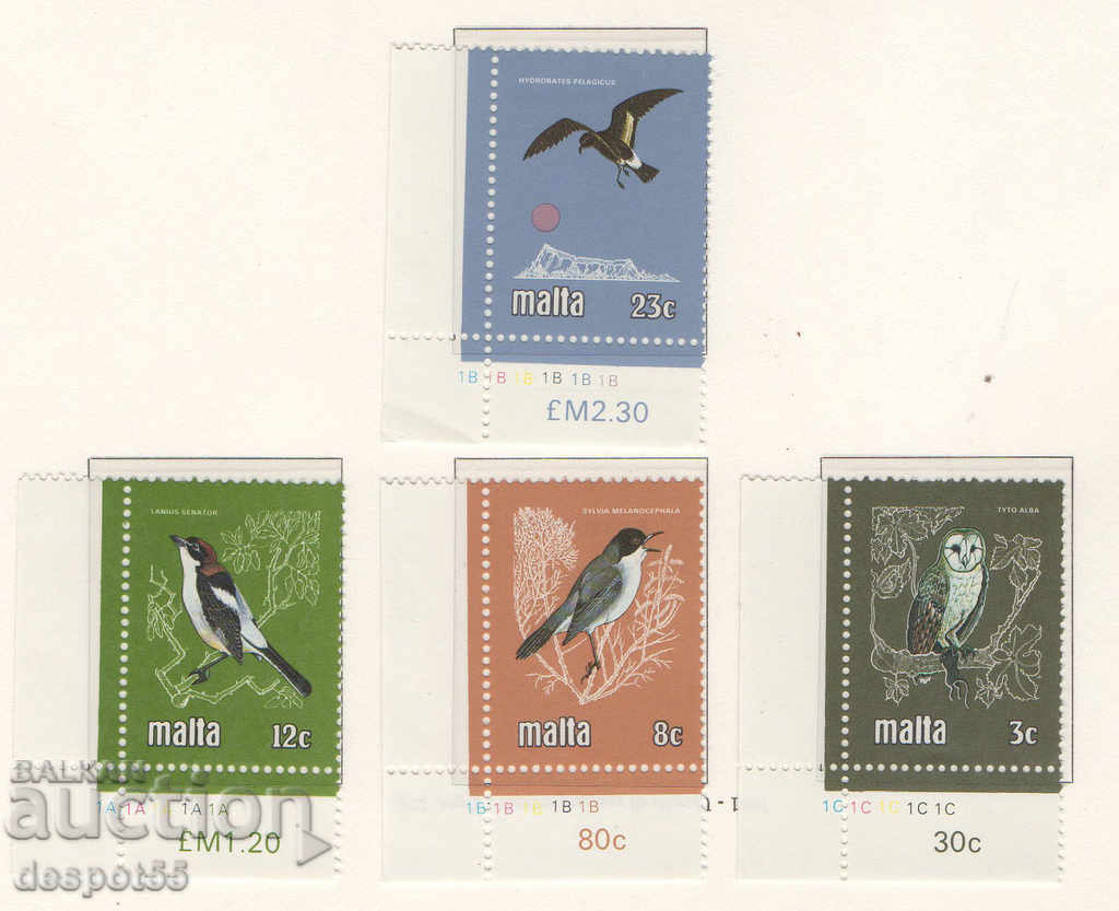 1981. Malta. Păsări.