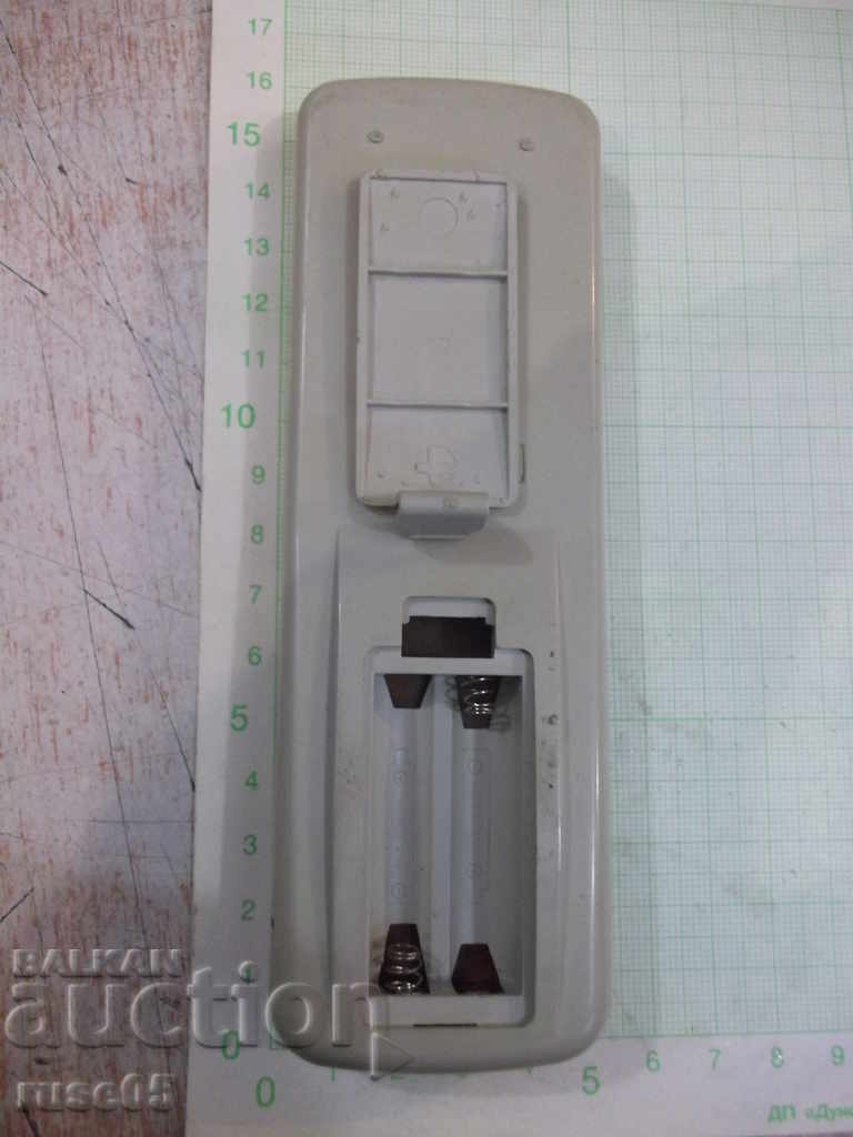 Delivery of Remote working - 30