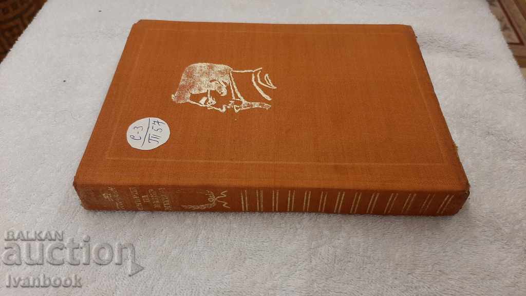 The death of Vazir Mukhtara with price 3.00 BGN | € 1.53 The death of Vazir Mukhtara with price 3.00 BGN | € 1.53