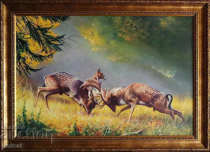 Fallow deer, fight, picture Fallow deer, fight, picture