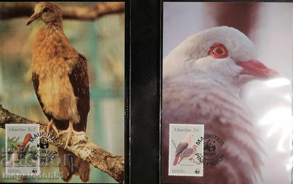 Mauritius - endangered fauna, pigeon, WWF