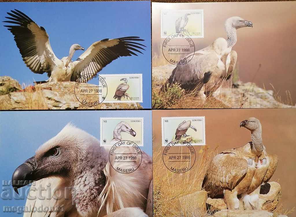 Lesotho - endangered fauna, vulture, WWF