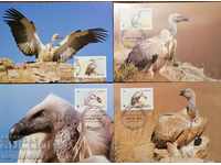 Lesotho - faună pe cale de dispariție, vultur, WWF