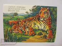 Русия 1992г Фауна Охрана природа Ми№ бл.1  чисти
