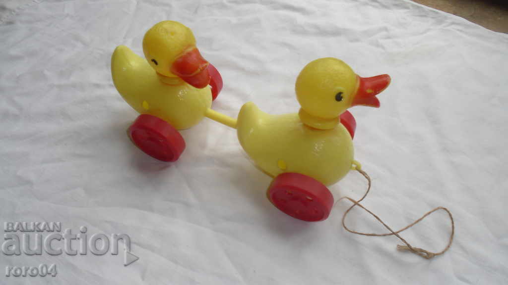 DUCK WITH MISSINGS