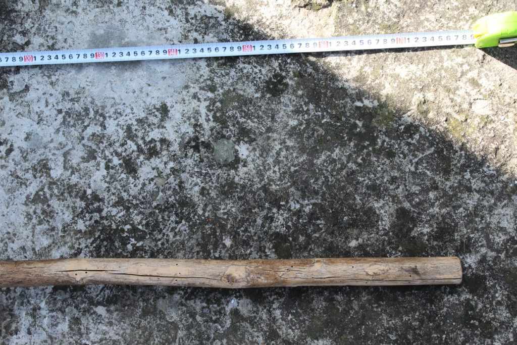 VILĂ SENO AUTENTICĂ DIN LEMN, FORTĂ ȘI MARE - 6 VILĂ SENO AUTENTICĂ DIN LEMN, FORTĂ ȘI MARE - 6