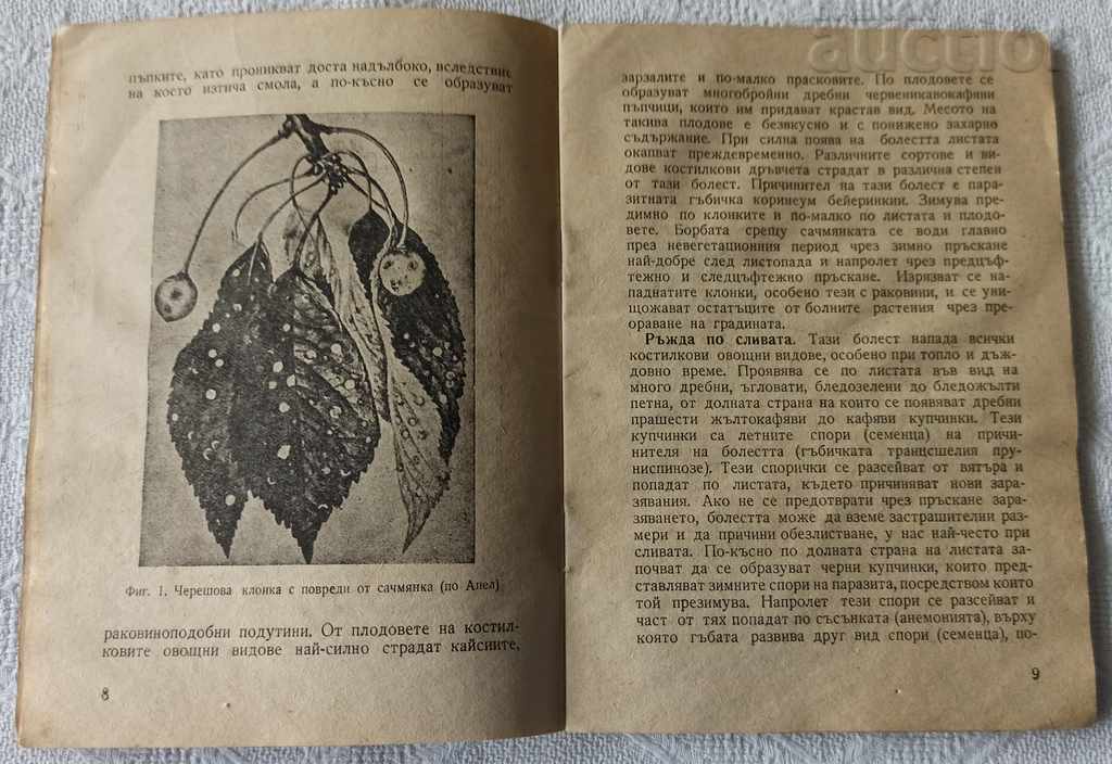 ОВОЩНИ КУЛТУРИ БОЛЕСТИ И БОРБАТА С ТЯХ 1958 г. с цена 9.00 лв. | € 4.60 ОВОЩНИ КУЛТУРИ БОЛЕСТИ И БОРБАТА С ТЯХ 1958 г. с цена 9.00 лв. | € 4.60