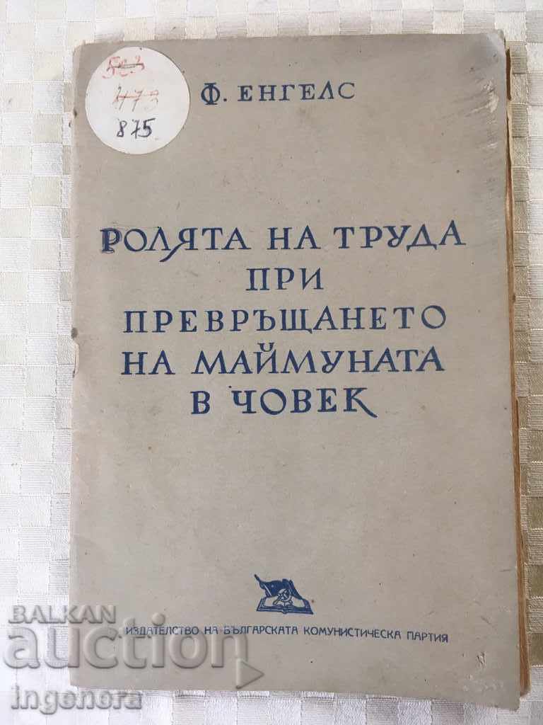 CARTE-ENGELS-FILOZOFIE.1949 CARTE-ENGELS-FILOZOFIE.1949