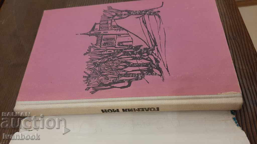 Auction Library - Reading for teenagers - The Great Mon. Auction Library - Reading for teenagers - The Great Mon.