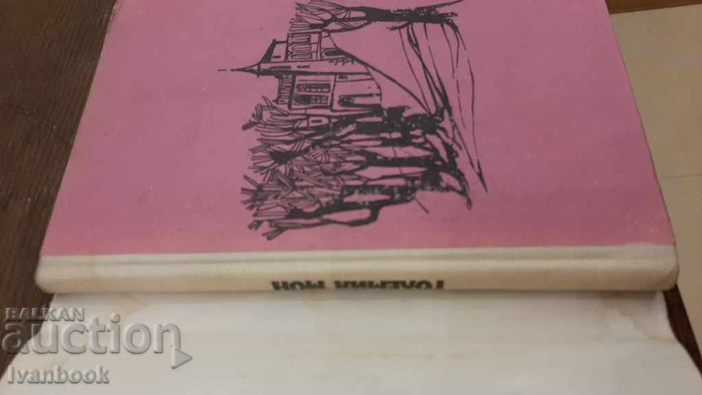 Auction  Library - Reading for teenagers - The Great Mon.