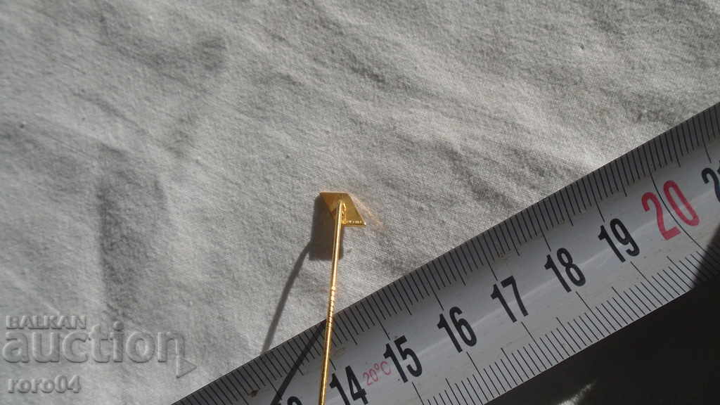 BADGE - SWISS - 6 BADGE - SWISS - 6