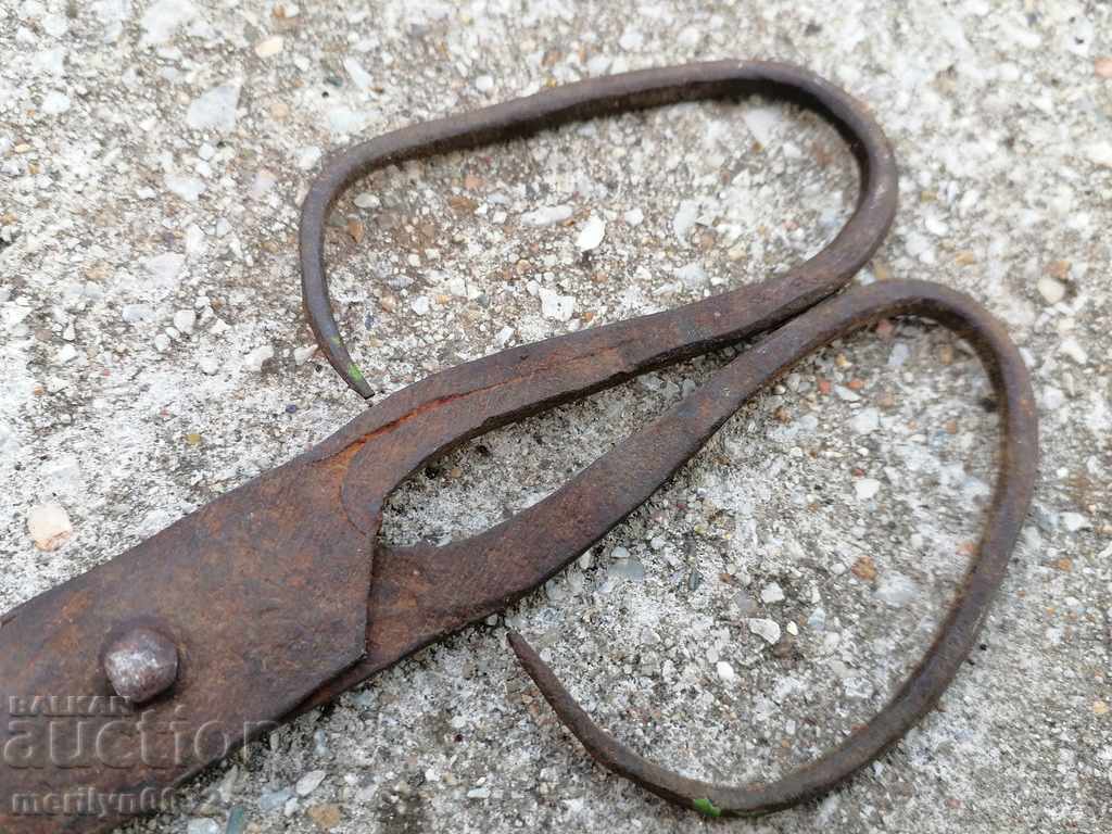 Auction Old hand forged scissors, wrought iron Auction Old hand forged scissors, wrought iron