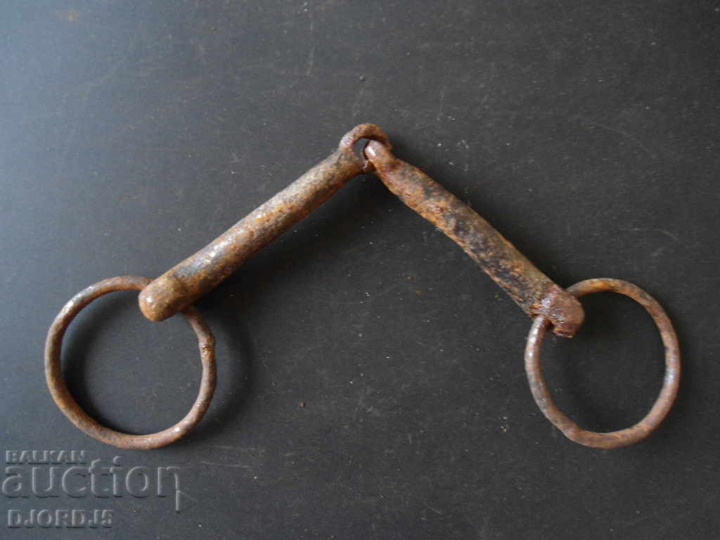 Old bridle