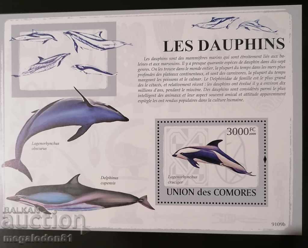 Комори - делфини