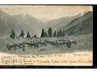 CARTE POȘTALĂ CIRCULATĂ ALPI THYON VACI ELVEȚIENE 1905 ELVEȚIA