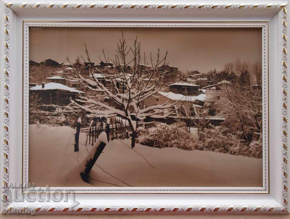 Auction art photography - a plot of your choice Auction art photography - a plot of your choice