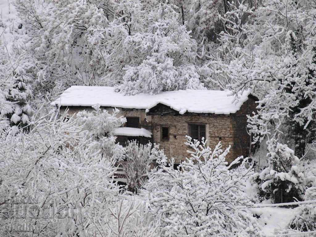 art photography - a plot of your choice - 5 art photography - a plot of your choice - 5