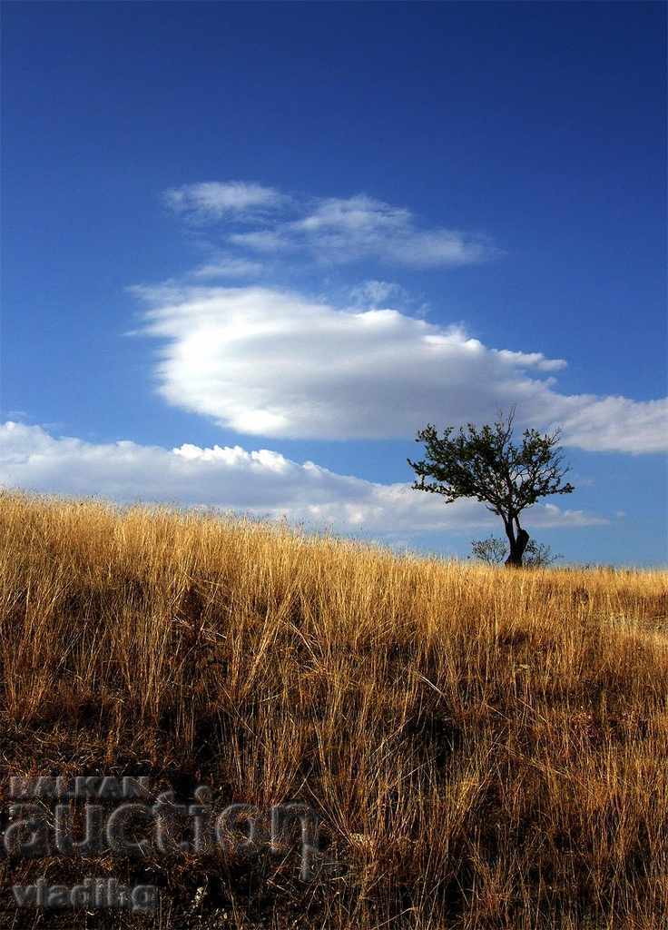 art photography - a plot of your choice - 7 art photography - a plot of your choice - 7