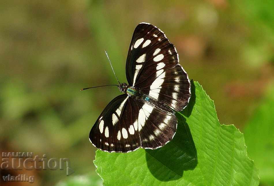 art photography - a plot of your choice - 6 art photography - a plot of your choice - 6