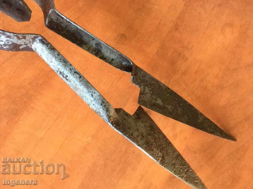 Auction  VINTAGE FORGED SHEEP SHEARING SCISSORS TOOL