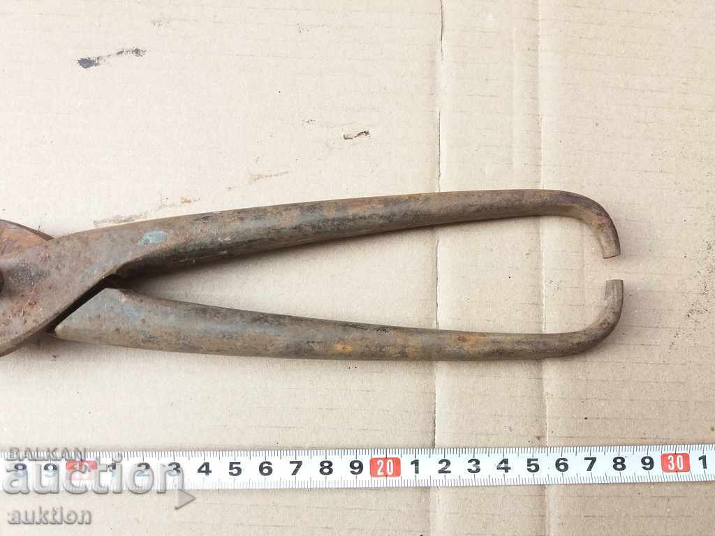 Auction MASSIVE FORGED EXCELLENT SHEET METAL SCISSORS Auction MASSIVE FORGED EXCELLENT SHEET METAL SCISSORS