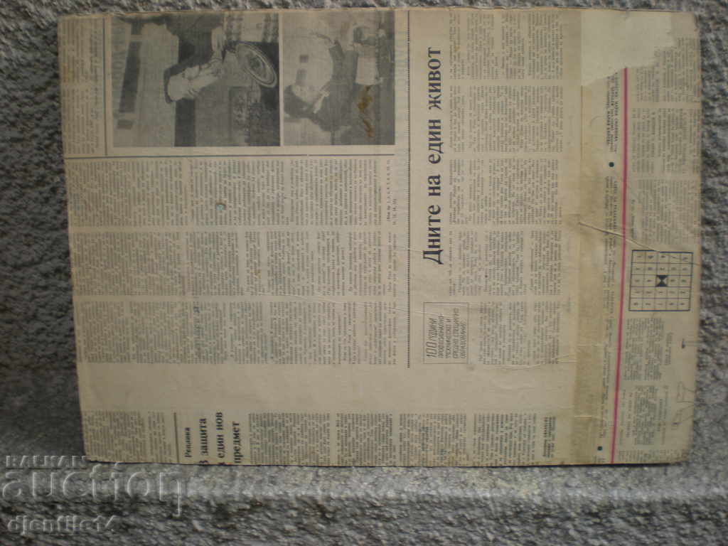 Ζωγραφική, λάδι σε χαρτόνι με τιμή € 40.00 | 78.23 BGN Ζωγραφική, λάδι σε χαρτόνι με τιμή € 40.00 | 78.23 BGN