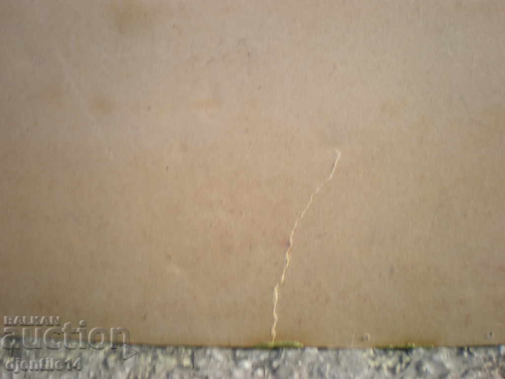 Auction Painting, oil cardboard. G. Ivanov Auction Painting, oil cardboard. G. Ivanov